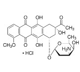 DAUNORUBICIN HYDROCHLORIDE (120MG)