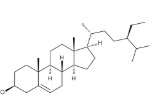 BETA-SITOSTEROL (10MG)