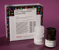 COCTEL INHIBIDOR DE PROTEASAS HALT (100X) (5 ML)
