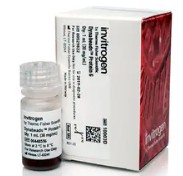 PROTEINA G P/INMUNOPRECIPITACION DYNABEADS (1 ML)