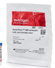 ALEXA FLUOR 488 NHS ESTER (1MG)
