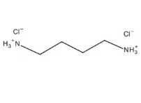 1,4-DIAMINOBUTANE DIHYDROCHLORIDE PS (10G)
