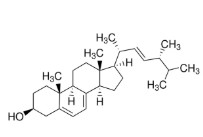 ERGOSTEROL ≥75% (10G)
