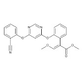 AZOXYSTROBIN (250 mg)