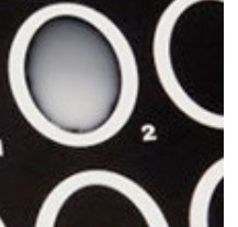 LEGIONELLA LATEX TEST (50)
