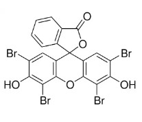 EOSYN Y (5G)