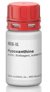 HYPOXANTHINE (5G)