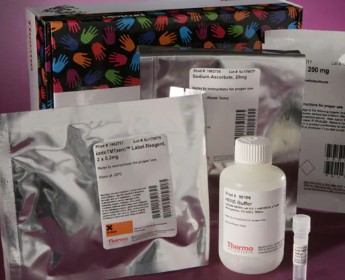 KIT WESTERN BLOT S-NITROSILACION Y TAMPON HENS(40)