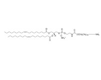 DOPE-PEG(2000) AMINE (10MG)