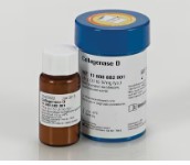 COLAGENASA DE CLOSTRIDIUM HISTOLYTICUM (100 MG)