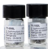 S9 SD RAT TIVER PB/BNF IN KCL 5 ML