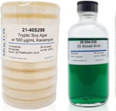 SALMONELLA TYPIMURIUM STRAIM (10)