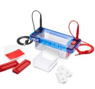 MNI HORIZONTAL ELECTROPHORESIS SYSTEM DIRECTLOAD