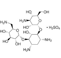 SULFATO DE CANAMICINA (5 G)