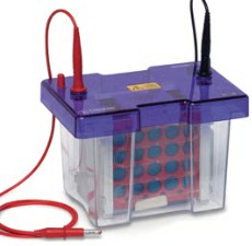 CUBETA ELECTROFORESIS