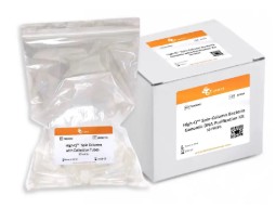 HIGH-Q SPIN-COLUMN BACTERIAL GENOMIC DNA KIT (200)