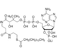 PALMITOYL COENZYME A LITHIUM SALT ≥90% (25MG)