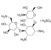 SULFATO DE CANAMICINA (5 G)