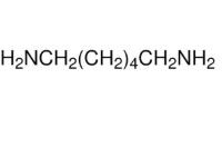 HEXAMETILENDIAMINE 70% (1000 ML)