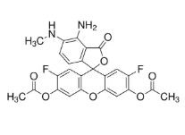 DIAMINOFLUORESCENCEIN-FM DIACETATE ≥98%(HPLC)(1MG)