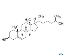 THIOCHOLESTEROL (1G)