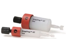 COLUMNA STREP TRAP XL (1 X 5 ML)