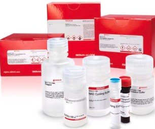FREE FATTY ACID ASSAY KIT