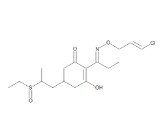CLETHODIM-SULFOXIDE (10 mg)
