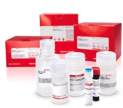 ACETYLCHOLINESTERASE INHIBITOR SCREENING KIT