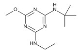 TERBUMETON 10 UM/ML EN CICLOHEXANO (10)