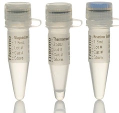 THERMOPRIME TAQ DNA POLYMERASE (2500UDS)
