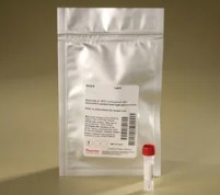 DYLIGHT 650 NHS ESTER (1MG)