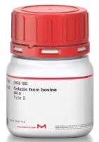 GELATINA DE PIEL BOVINA (1000G)