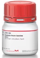 GELATINA DE PIEL BOVINA (1000G)