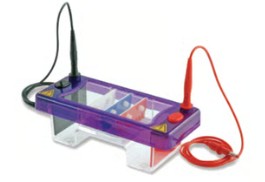 CUBETA ELECTROFORESIS MULTISUB MINI 10  7 X 10 CM