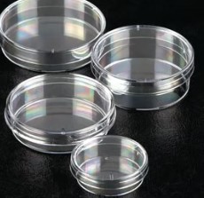 PLACA PETRI PLASTICO 50X14 MM ASEPTICA (700)