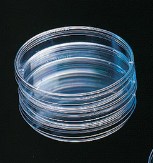 PLACA PETRI PLASTICO 60X15 MM (500)