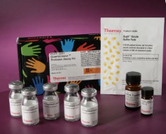 KIT ENSAYO COLORIMETRICO PROTEASA (250 RXN)