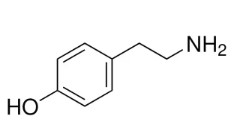 TYRAMINE 99 % (5 G)