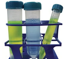 TUBO 50 ML PP F/CONICO S/FALDON (50)