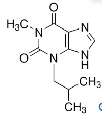 3-ISOBUTIL-1-METILXANTINA ≥99% (HPLC) (1 G)
