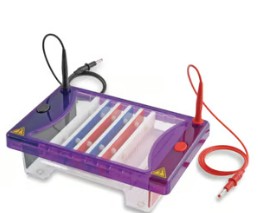 CUBETA ELECTROFORESIS MULTISUB CHOICE TRIO 15