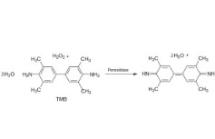 3,3′,5,5′-TETRAMETHYLBENZIDINE (4X100 ML)
