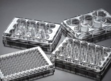 PLACA CULTIVO CELULAR 96 POC.TRAT.C/TAPA (100)