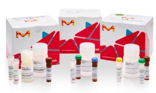 TYROSINASE ASSAY KIT (100)