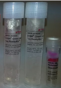 SYBR GREEN JUMPSTART TAQ READYMIX (20)