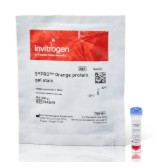 TINCION GEL PROTEINAS SYPRO NARANJA (10 X 50 UL)