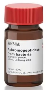 ACHROMOPEPTIDASE FROM BACTERIA (100KU) 