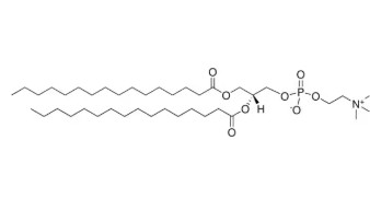 16:0 PC (DPPC) (25 MG)
