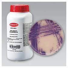 SUPLEMENTO ONE BROTH SALMONELLA SE. (10X225ML)